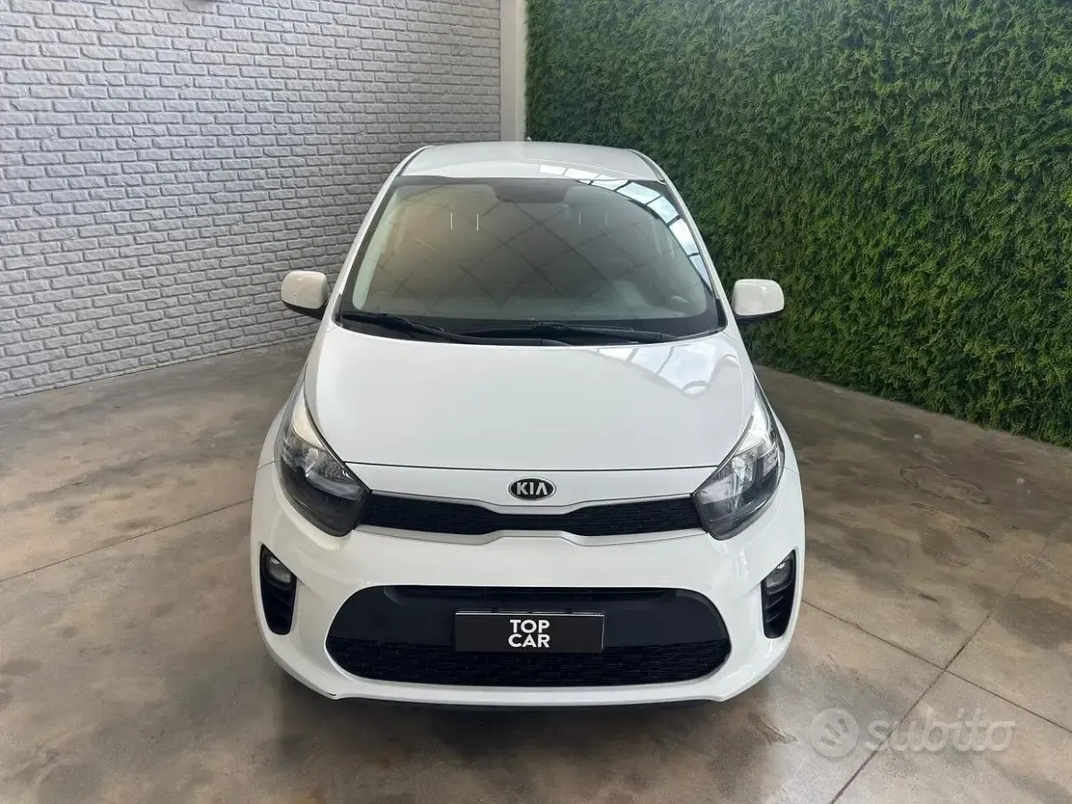 Usata Kia Picanto City 65 CV (47 kW) 2019 Bianco Utilitaria