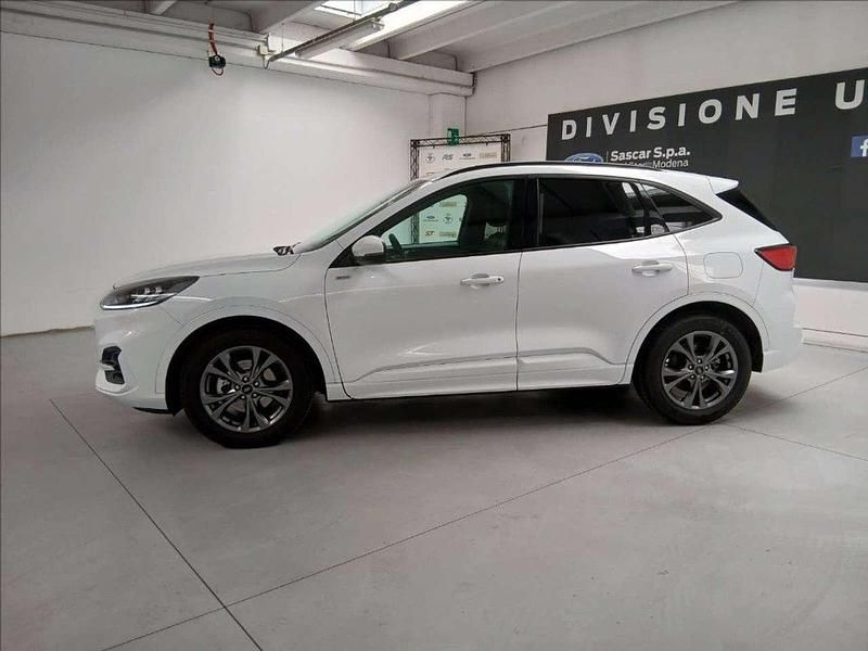 Usata Ford Kuga ST-Line 190 CV (139 kW) 2023 Bianco SUV
