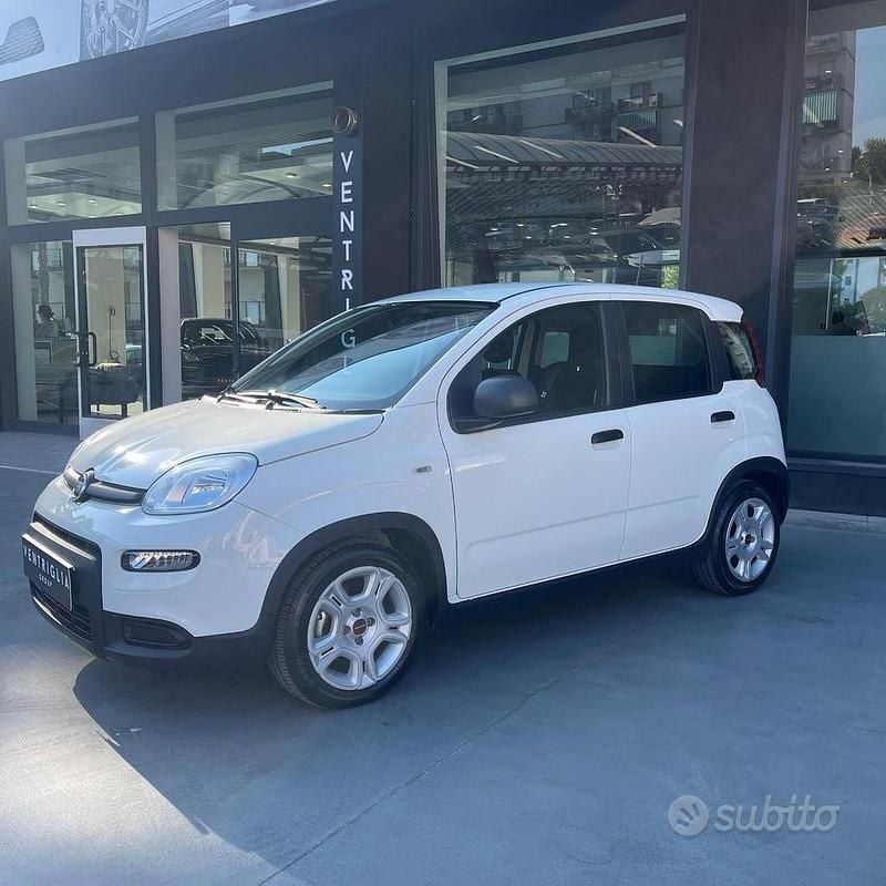 Usata Fiat Panda 70 CV (51 kW) 2024 Berlina