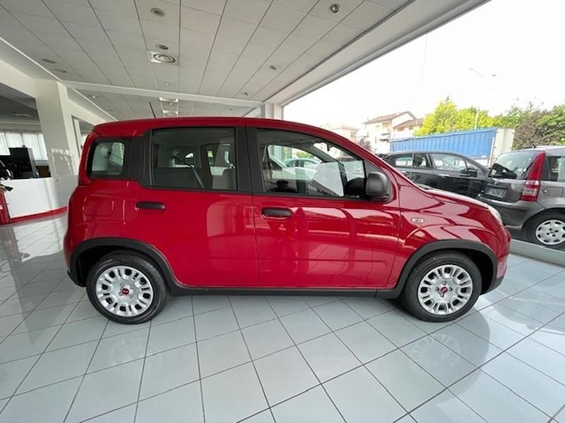 Usata Fiat Panda 70 CV (51 kW) 2024 Rosso Utilitaria