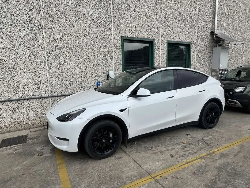 Usata Tesla Model Y 152 kW (208 CV) 2021 SUV