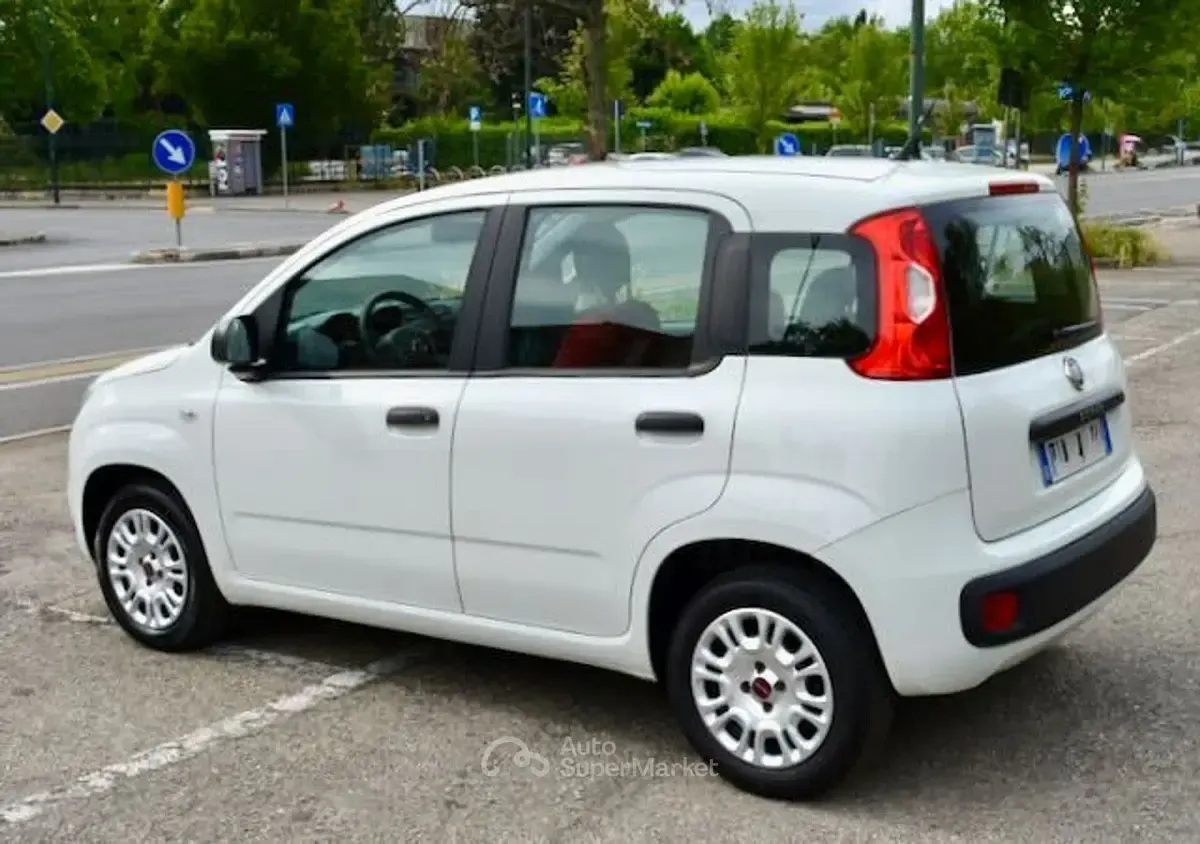 Usata Fiat Panda Easy 69 CV (50 kW) 2019 Bianco Utilitaria