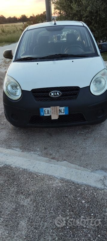 Usata Kia Picanto 62 CV (45 kW) 2010 Bianco Utilitaria