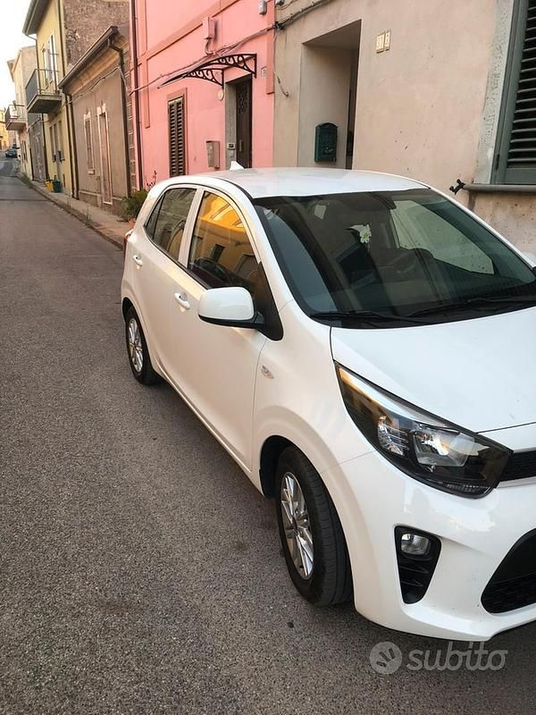 Usata Kia Picanto 63 CV (46 kW) 2024 Bianco Utilitaria
