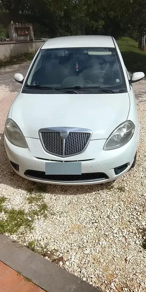 Usata Lancia Ypsilon 77 CV (56 kW) 2009 Bianco Utilitaria