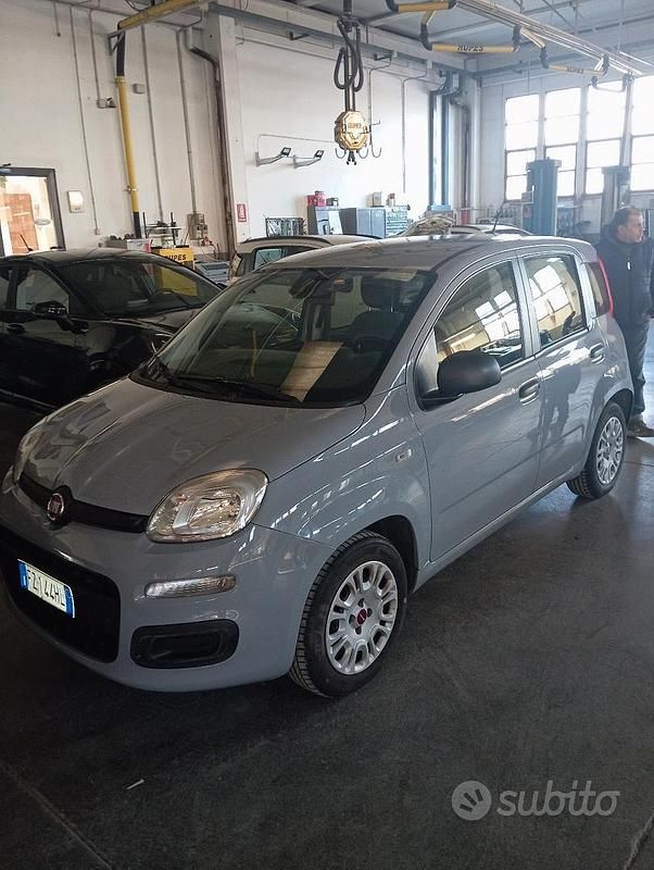Usata Fiat Panda Easy 69 CV (50 kW) 2019 Grigio Utilitaria