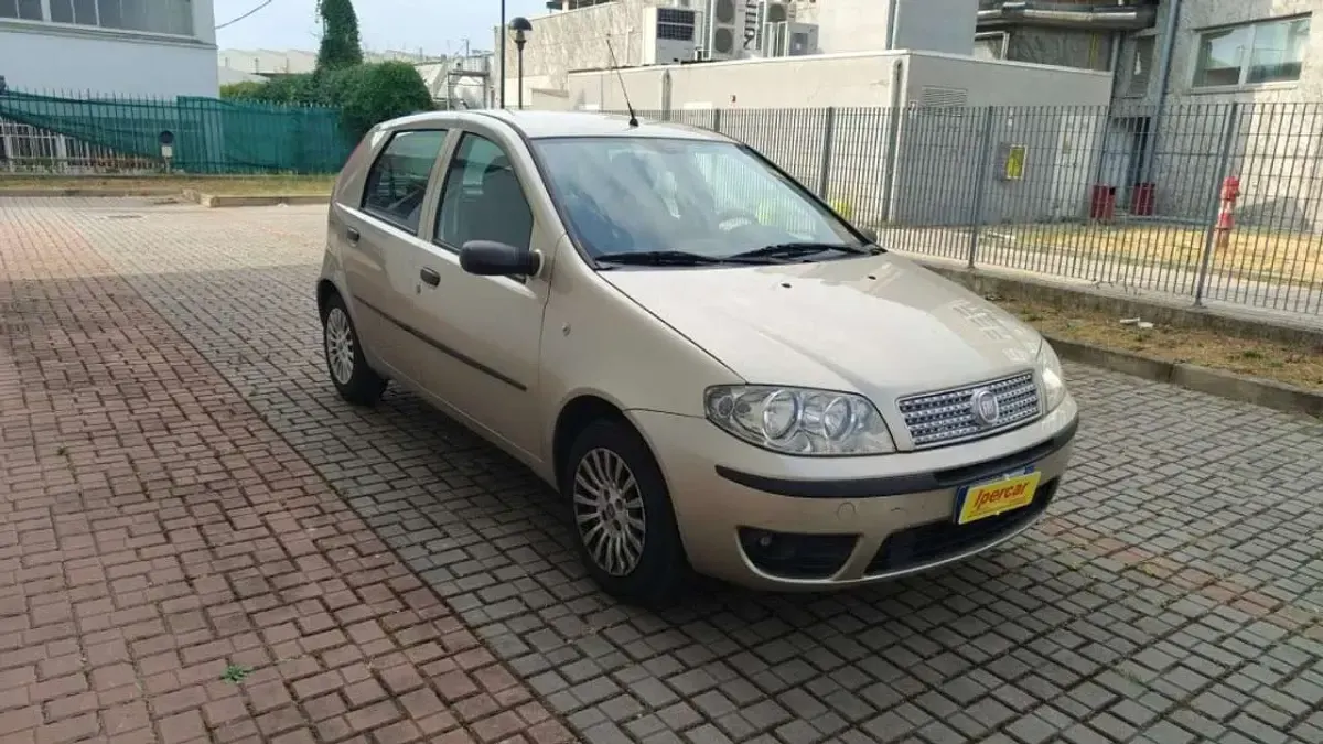Usata Fiat Punto Active 60 CV (44 kW) 2009 Grigio Utilitaria