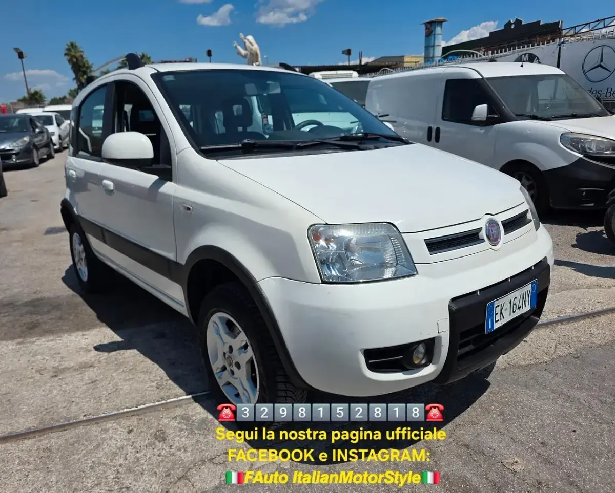 Usata Fiat Panda 4x4 Climbing 75 CV (55 kW) 2011 Bianco Utilitaria