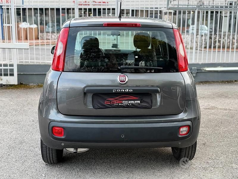 Usata Fiat Panda Easy 69 CV (50 kW) 2019 Grigio Utilitaria