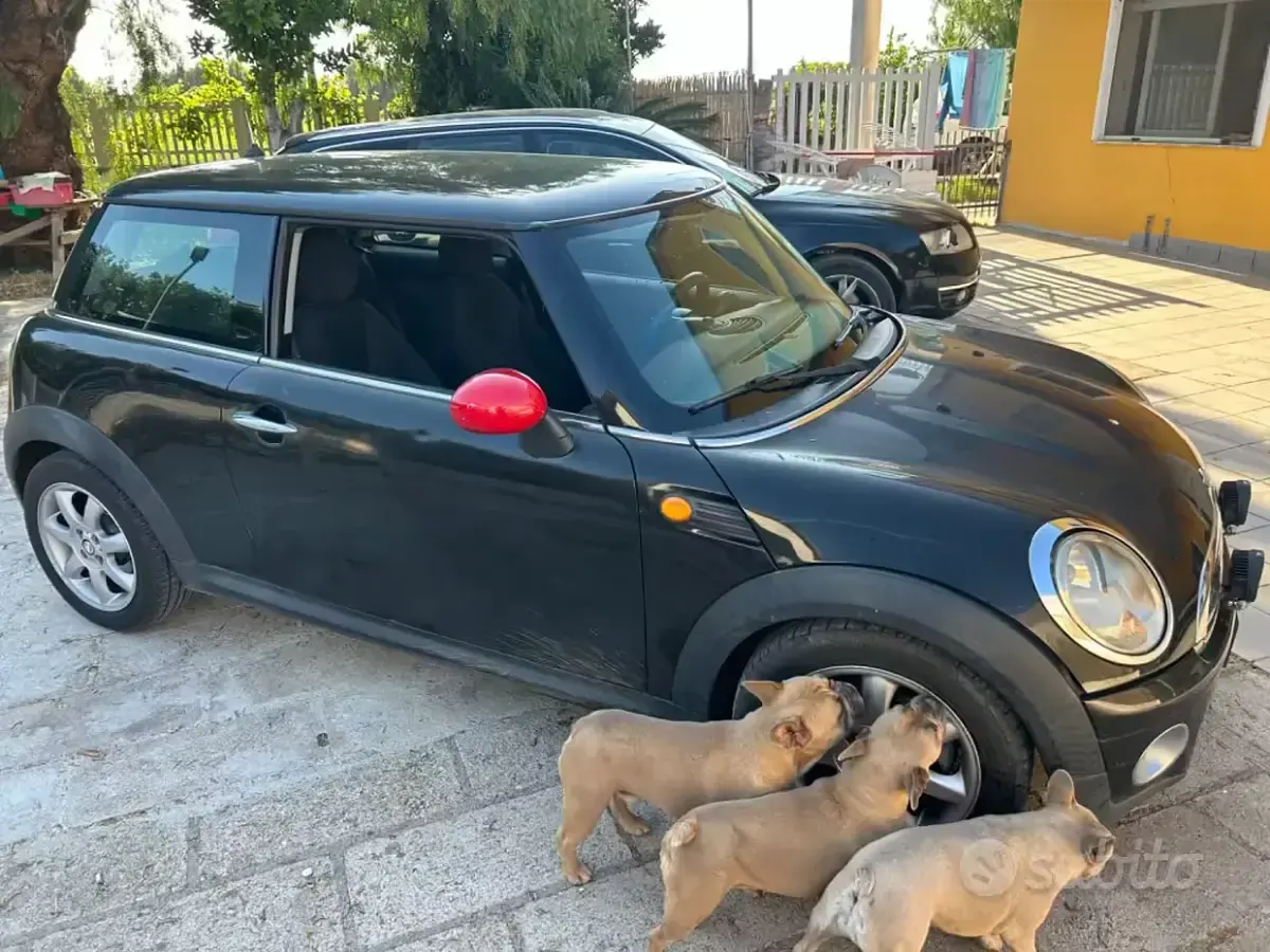 Usata Mini Cooper 109 CV (80 kW) 2008 Nero Utilitaria