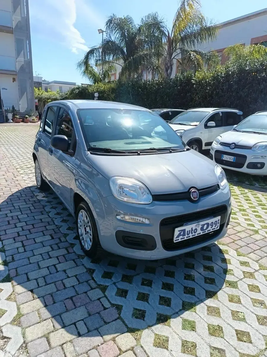 Usata Fiat Panda Easy 69 CV (50 kW) 2018 Grigio Utilitaria