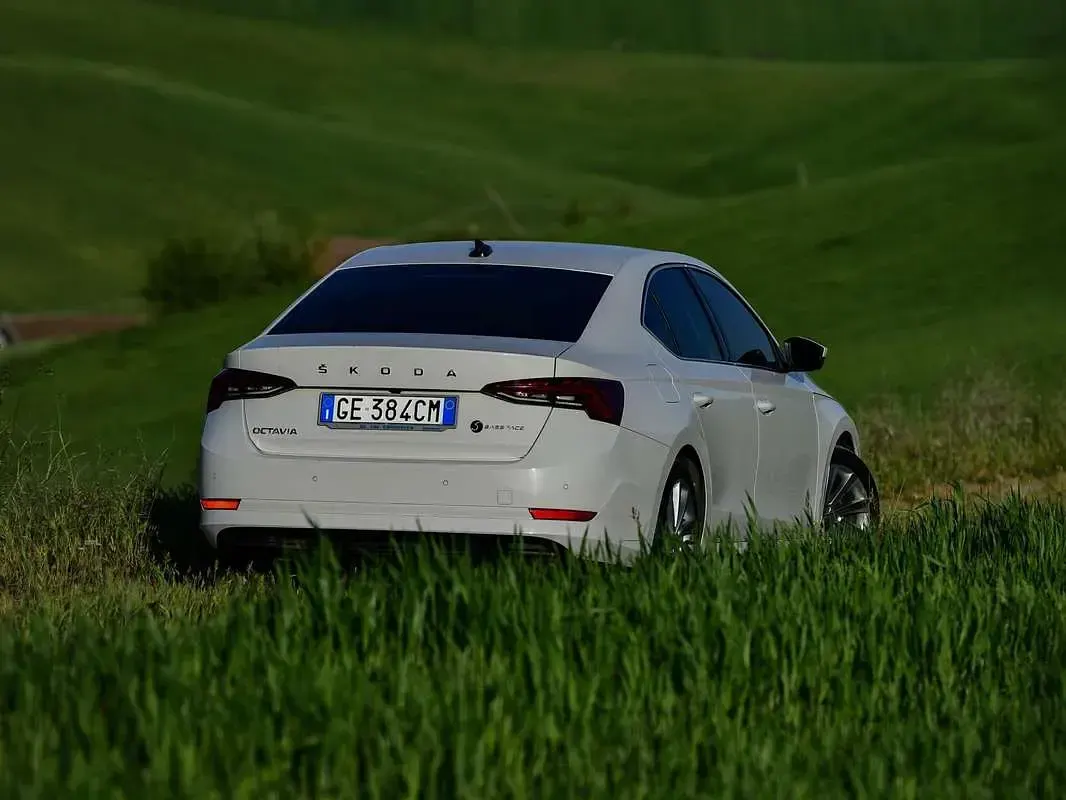 Usata Skoda Octavia Style 116 CV (85 kW) 2021 Bianco Berlina