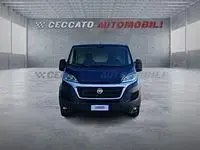 Usata Fiat Ducato 116 CV (85 kW) 2019 Blu Furgone