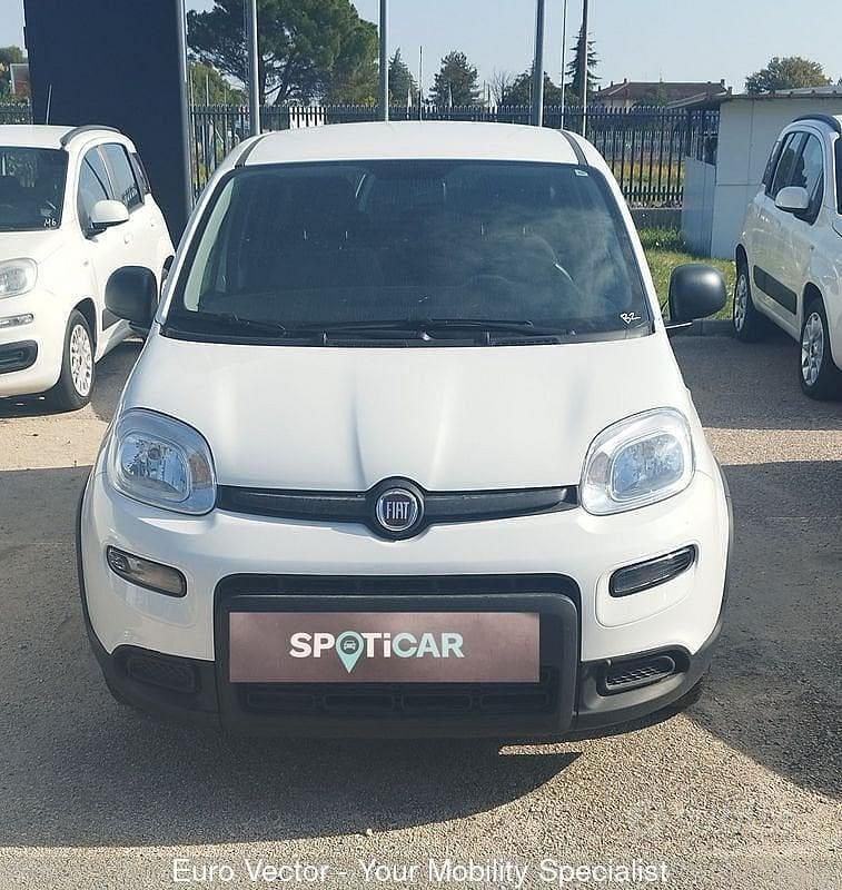 Usata Fiat Panda S 70 CV (51 kW) 2023 Bianco Utilitaria