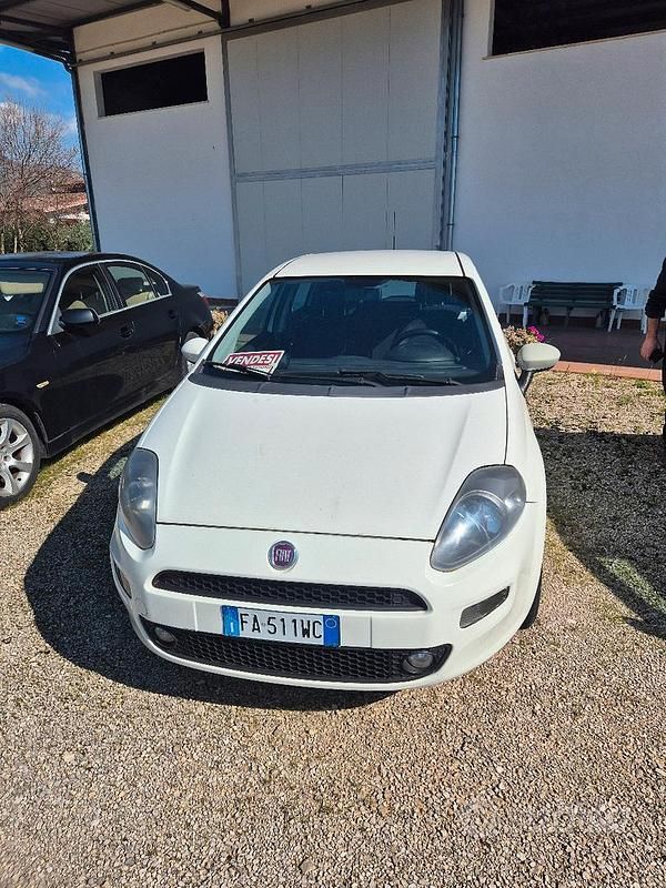 Usata Fiat Punto 77 CV (56 kW) 2015 Bianco Utilitaria