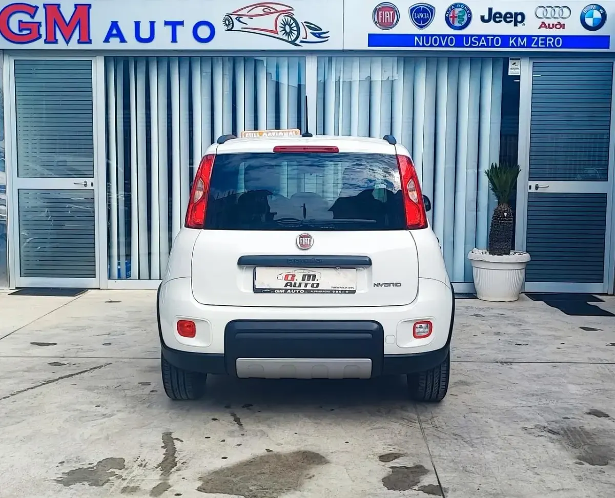Usata Fiat Panda City Life 70 CV (51 kW) 2022 Bianco Utilitaria