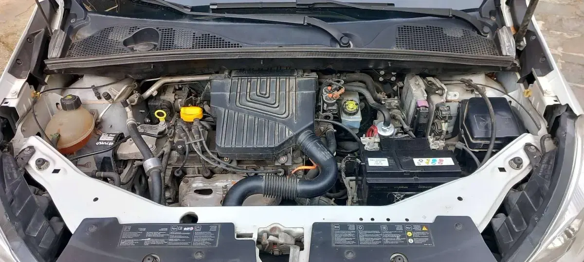 Usata Dacia Dokker Lauréate 83 CV (61 kW) 2016 Bianco Monovolume