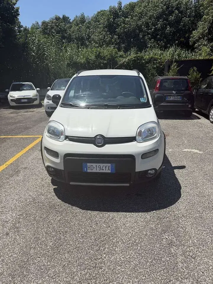 Usata Fiat Panda 4x4 86 CV (63 kW) 2020 Other Utilitaria