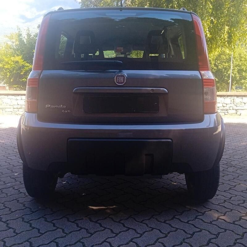 Usata Fiat Panda 4x4 Climbing 75 CV (55 kW) 2011 Grigio Utilitaria
