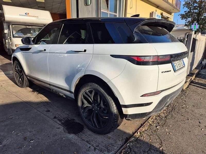 Usata Land Rover Range Rover evoque 150 CV (110 kW) 2019 Bianco SUV