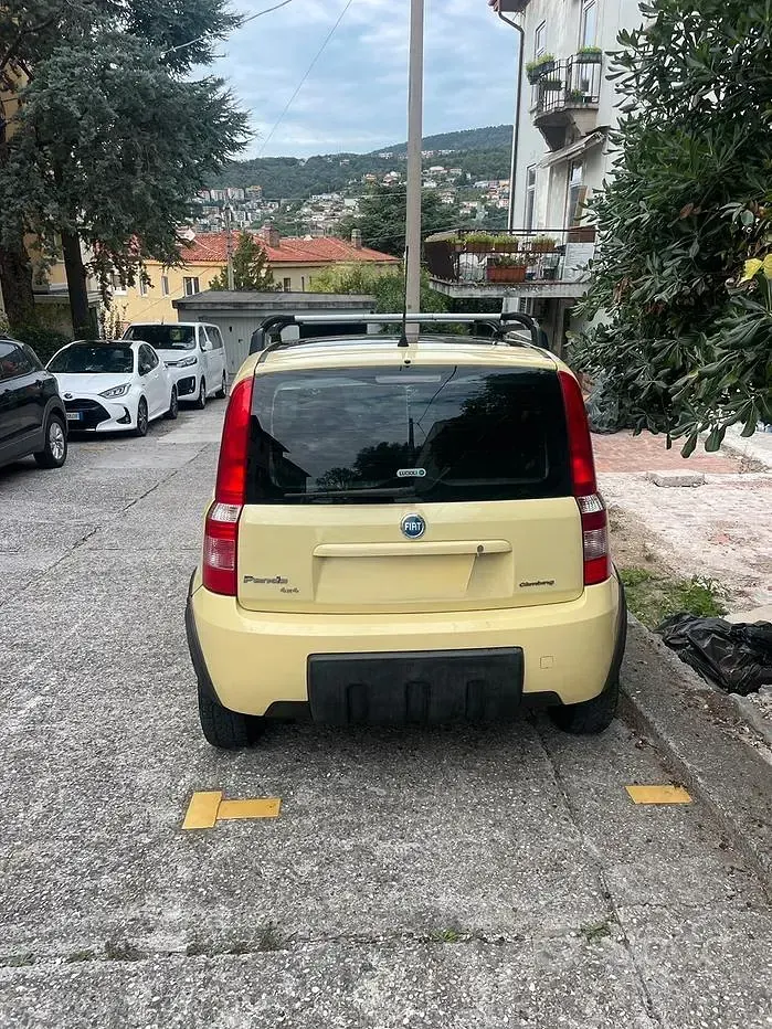 Usata Fiat Panda 4x4 Climbing 60 CV (44 kW) 2005 Giallo Utilitaria