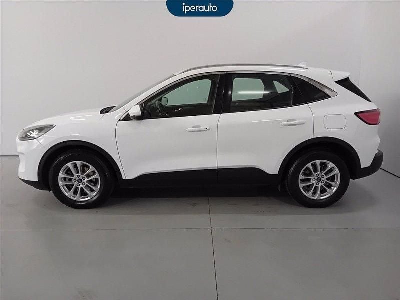 Usata Ford Kuga Business Edition 120 CV (88 kW) 2022 Bianca SUV