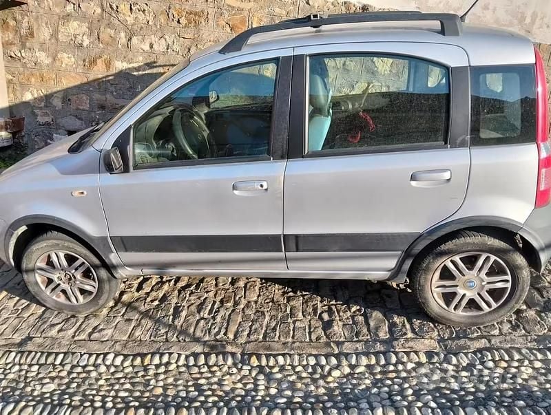 Usata Fiat Panda 4x4 60 CV (44 kW) 2007 Grigio Utilitaria