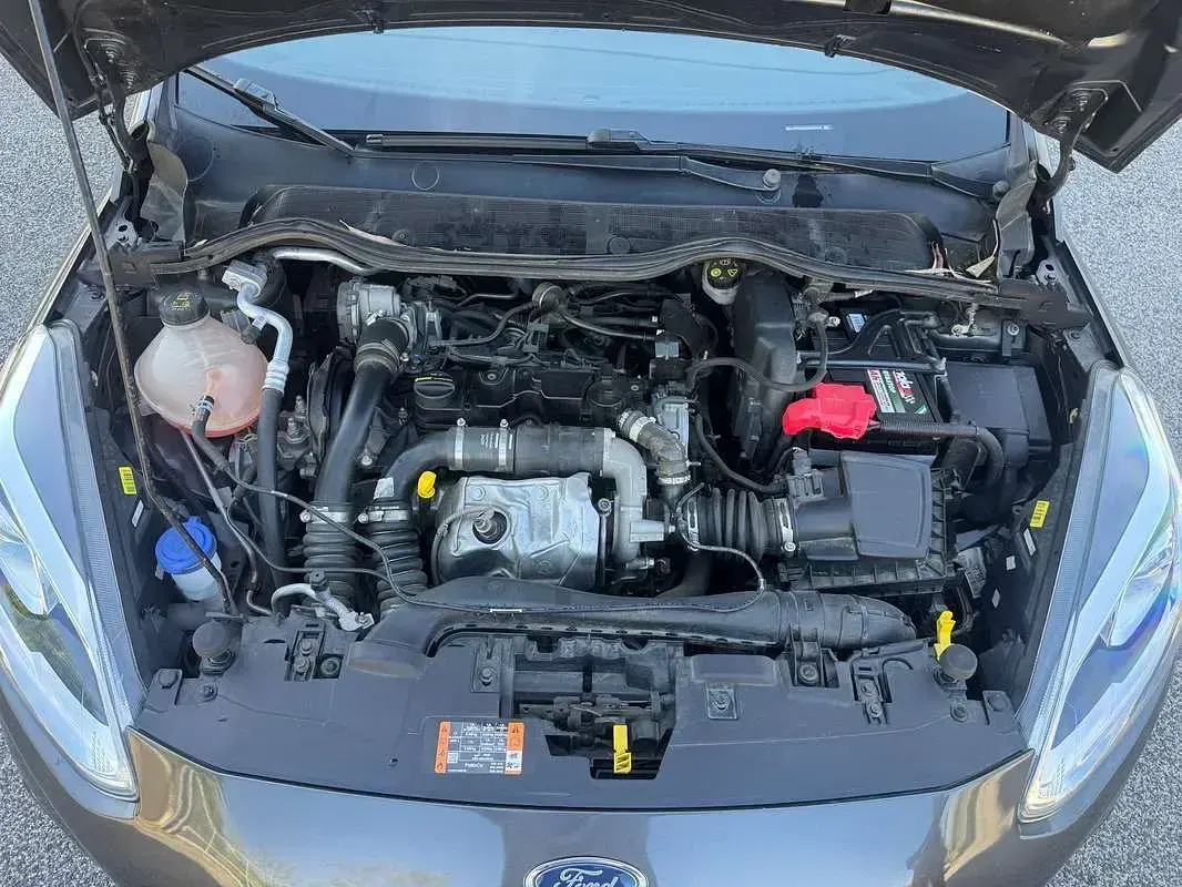 Usata Ford Fiesta ST-Line 86 CV (63 kW) 2020 Utilitaria