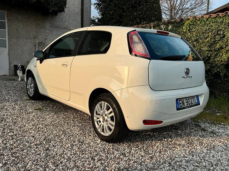 Usata Fiat Punto 69 CV (50 kW) 2012 Bianco Utilitaria