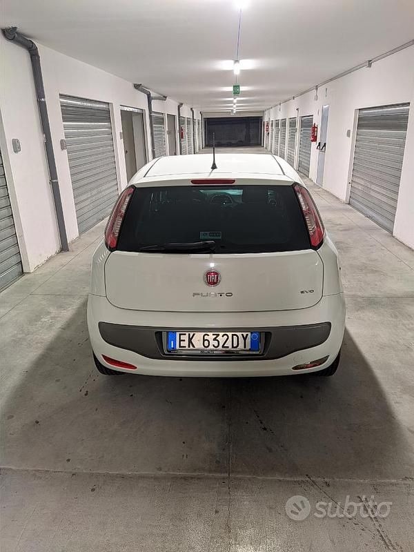 Usata Fiat Punto Evo 75 CV (55 kW) 2011 Bianco Utilitaria