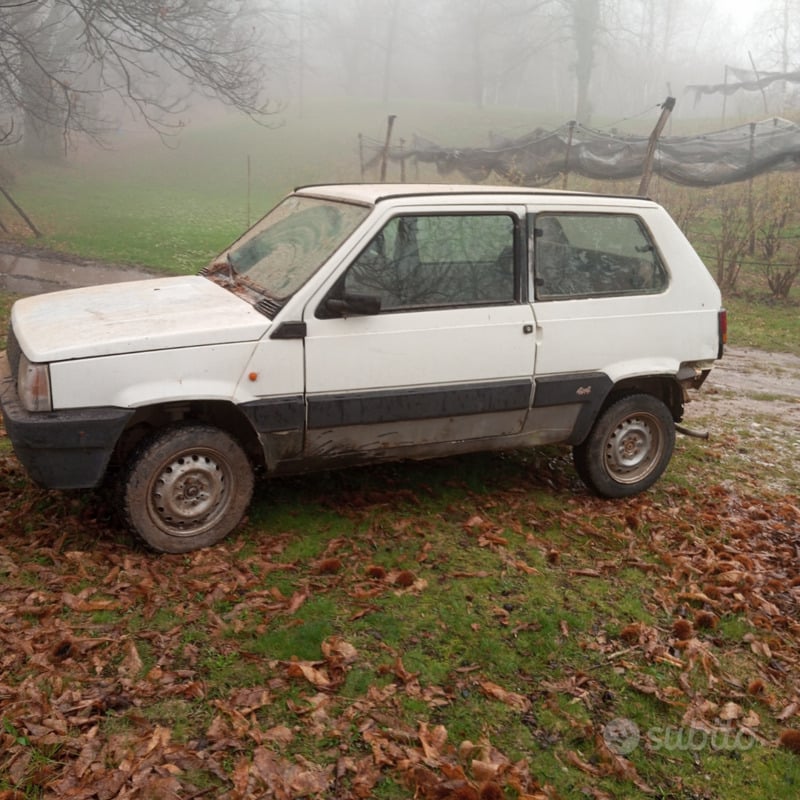 Usato 1986 Fiat Panda 4x4 1.0 Benzin 50 CV (1.500 €)