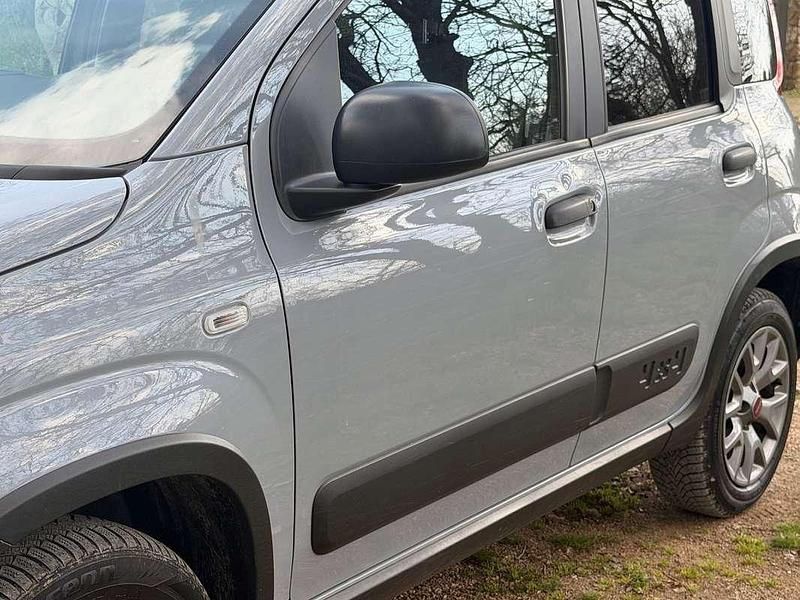 Usata Fiat Panda 4x4 S 86 CV (63 kW) 2018 Grigio Utilitaria