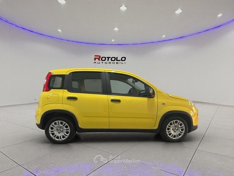Nuova Fiat Panda S 69 CV (50 kW) 2026 Giallo Utilitaria