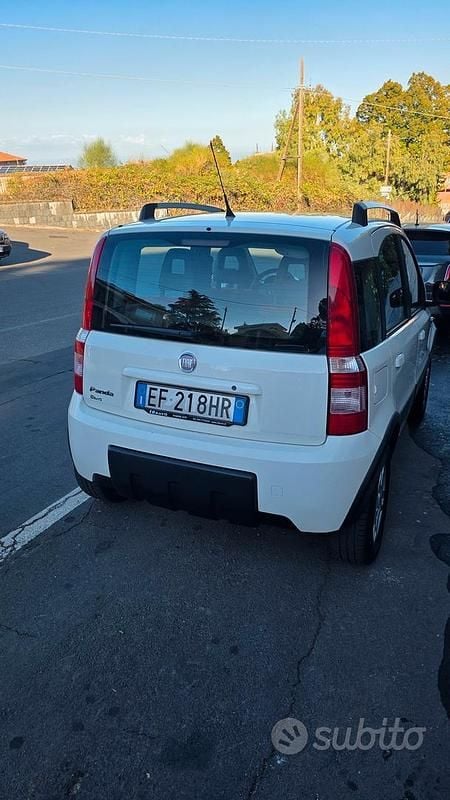 Usata Fiat Panda 4x4 69 CV (50 kW) 2010 Bianco Utilitaria