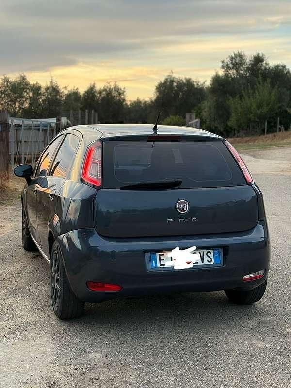Usata Fiat Punto Evo Emotion 95 CV (69 kW) 2011 Utilitaria