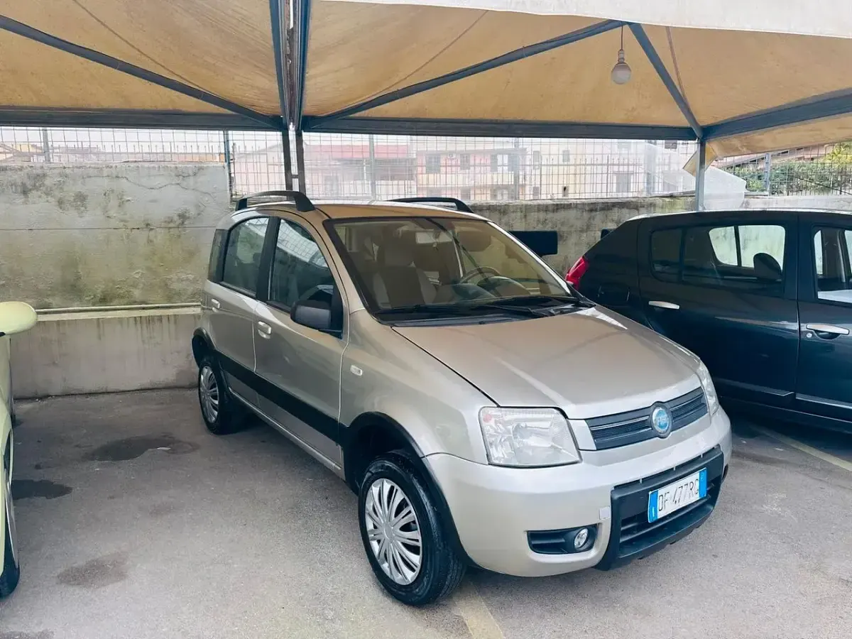Usata Fiat Panda 4x4 Climbing 69 CV (50 kW) 2007 Utilitaria