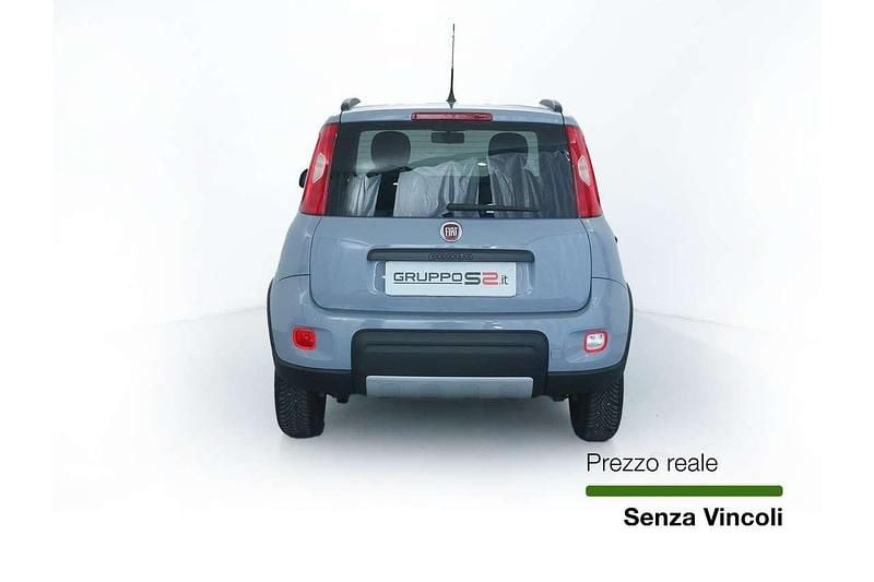Usata Fiat Panda 4x4 S 84 CV (61 kW) 2019 Grigio Utilitaria