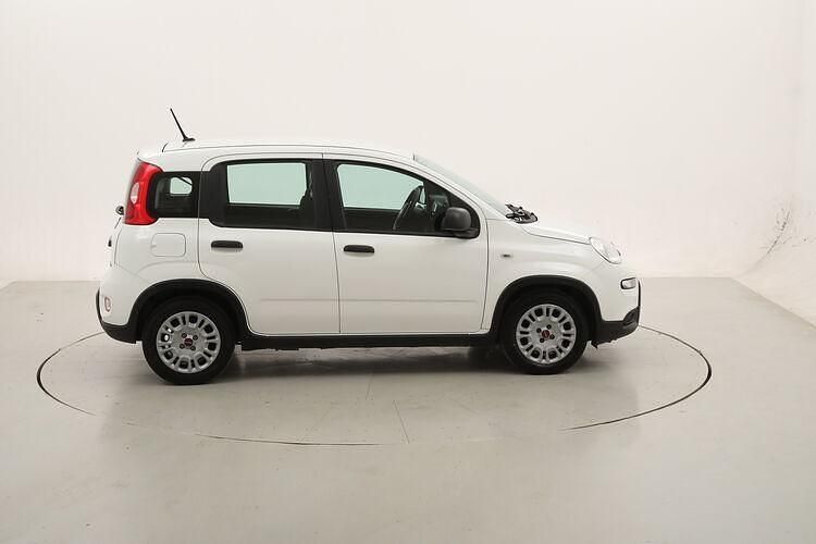Usata Fiat Panda 71 CV (52 kW) 2023 Bianco Utilitaria