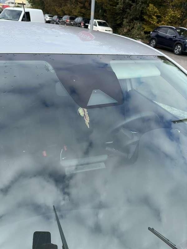 Usata Renault Clio V Business 91 CV (66 kW) 2022 Argento Berlina