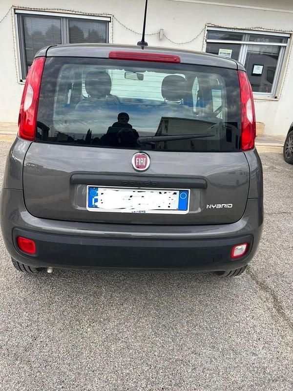 Usata Fiat Panda S 70 CV (51 kW) 2021 Grigio Utilitaria