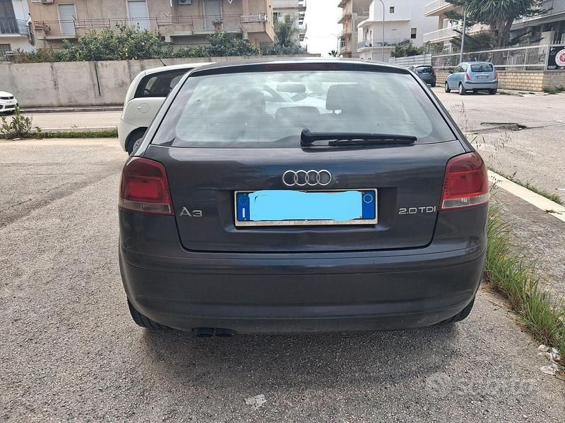 Usata Audi A3 Ambition 140 CV (102 kW) 2004 Nero Utilitaria