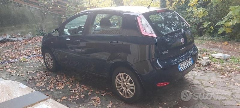 Usata Fiat Punto Lounge 77 CV (56 kW) 2014 Blu Berlina