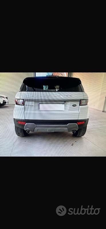 Usata Land Rover Range Rover evoque SE 150 CV (110 kW) 2019 Bianco SUV