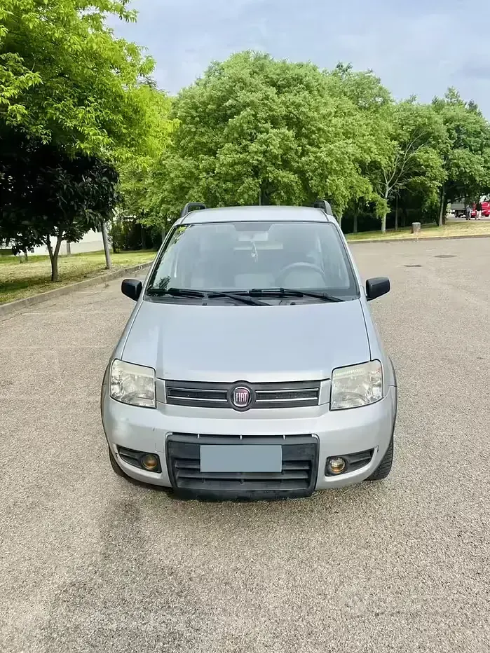 Usata Fiat Panda Climbing 60 CV (44 kW) 2009 Utilitaria