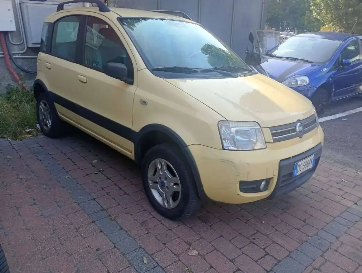 Usata Fiat Panda 4x4 Climbing 69 CV (50 kW) 2007 Giallo Utilitaria