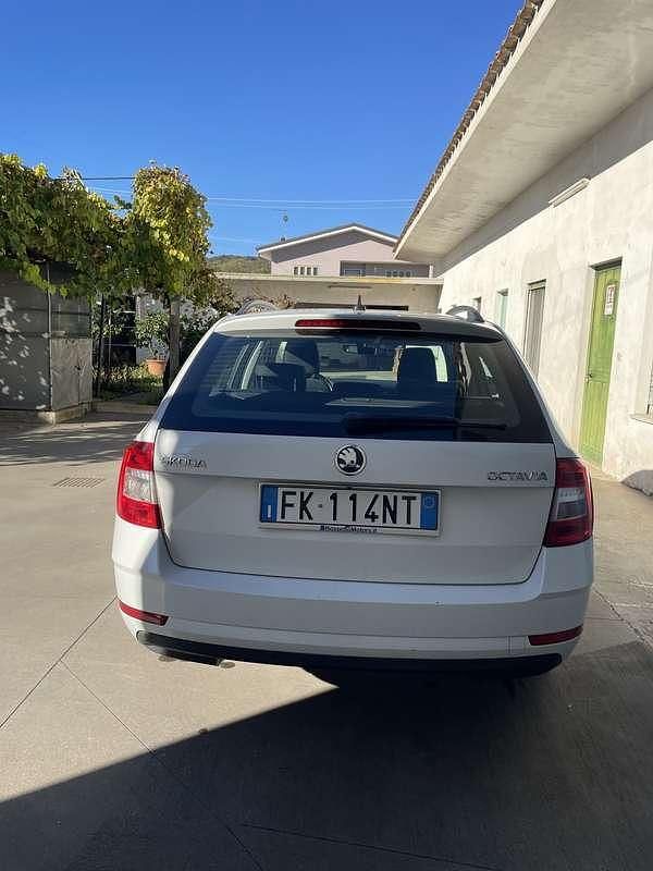 Usata Skoda Octavia Executive 116 CV (85 kW) 2017 Station wagon