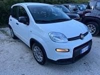 Usata Fiat Panda S 69 CV (50 kW) 2025 Bianco Utilitaria