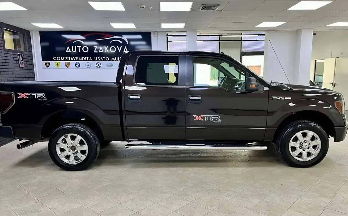 Usata Ford V8 XLT 366 CV (269 kW) 2014 Marrone SUV