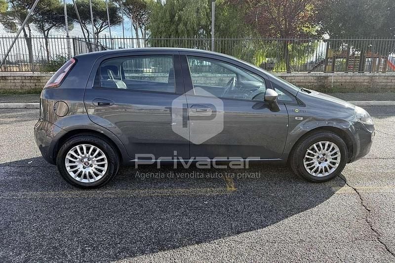 Usata Fiat Punto Young 77 CV (56 kW) 2015 Blu Berlina