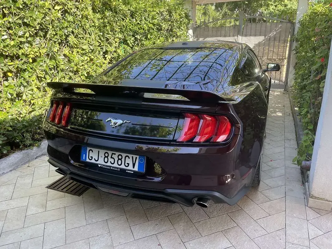Usata Ford Mustang Fastback 317 CV (233 kW) 2018 Coupé